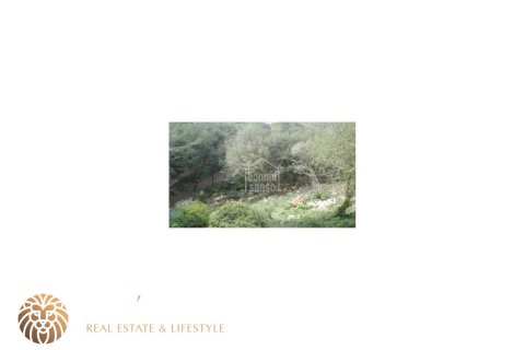 Land plot for sale Ferreries, Menorca, Spain 2375 sq.m. No. 46953 - photo 4