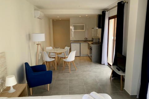 Apartment for sale in Alicante, Spain 11 bedrooms, 598 sq.m. No. 43717 - photo 7
