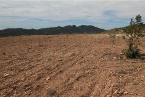 Land plot for sale Villajoyosa, Alicante, Spain No. 42607 - photo 5