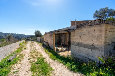 Land plot for sale Galilea, Mallorca, Spain 2165 sq.m. No. 46775 - photo 10