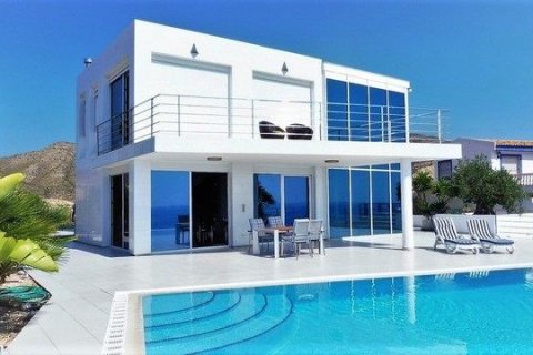 Villa for sale in El Campello, Alicante, Spain 4 bedrooms, 563 sq.m. No. 44131 - photo 3