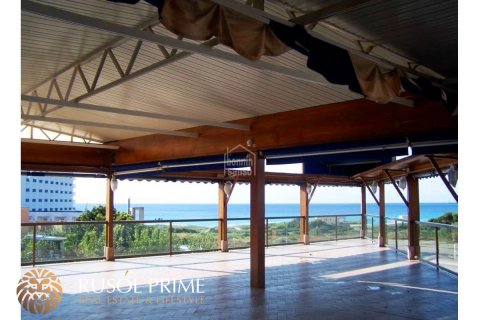 Commercial property for sale in Alaior, Menorca, Spain 920 sq.m. No. 46898 - photo 1