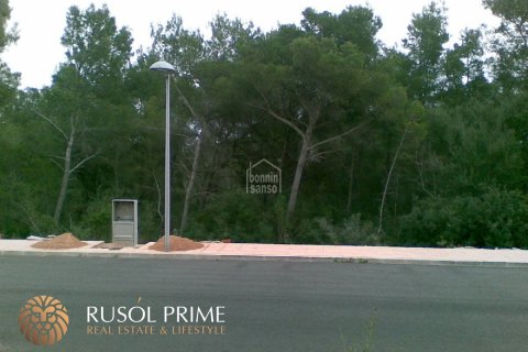 Land plot for sale in Es Mercadal, Menorca, Spain No. 47063 - photo 4