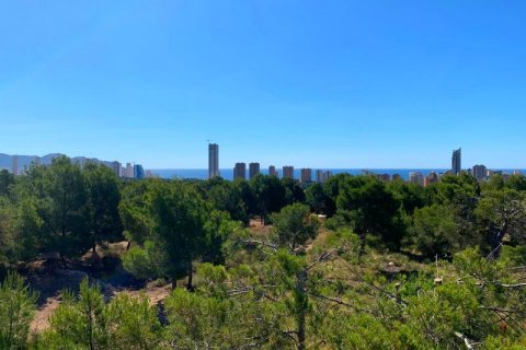 Land plot for sale Finestrat, Alicante, Spain No. 42641 - photo 8