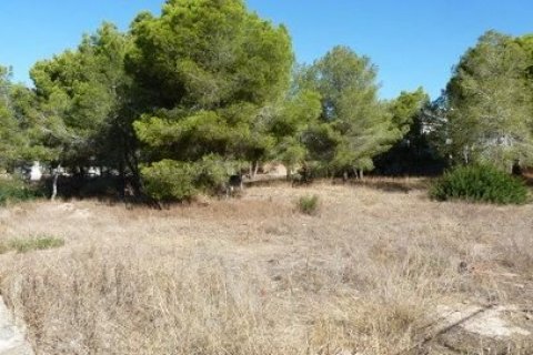 Land plot for sale in Benidorm, Alicante, Spain No. 44987 - photo 2