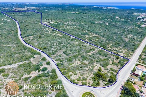 Land plot for sale in Sant Lluis, Menorca, Spain 207000 sq.m. No. 47021 - photo 1