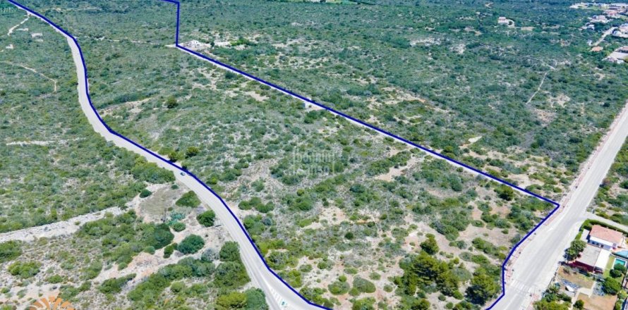 Land plot in Sant Lluis, Menorca, Spain 207000 sq.m. No. 47021