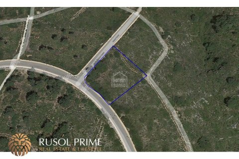 Land plot for sale in Es Mercadal, Menorca, Spain 2545 sq.m. No. 46951 - photo 2