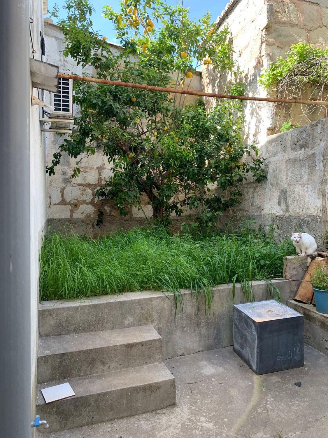 Villa Pollenca, Mallorca, Spānijā 5 istabas, 234 m2 Nr. 47589