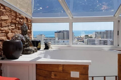 Apartment for sale on Gran Canaria, Spain 1 bedroom,  No. 45431 - photo 8