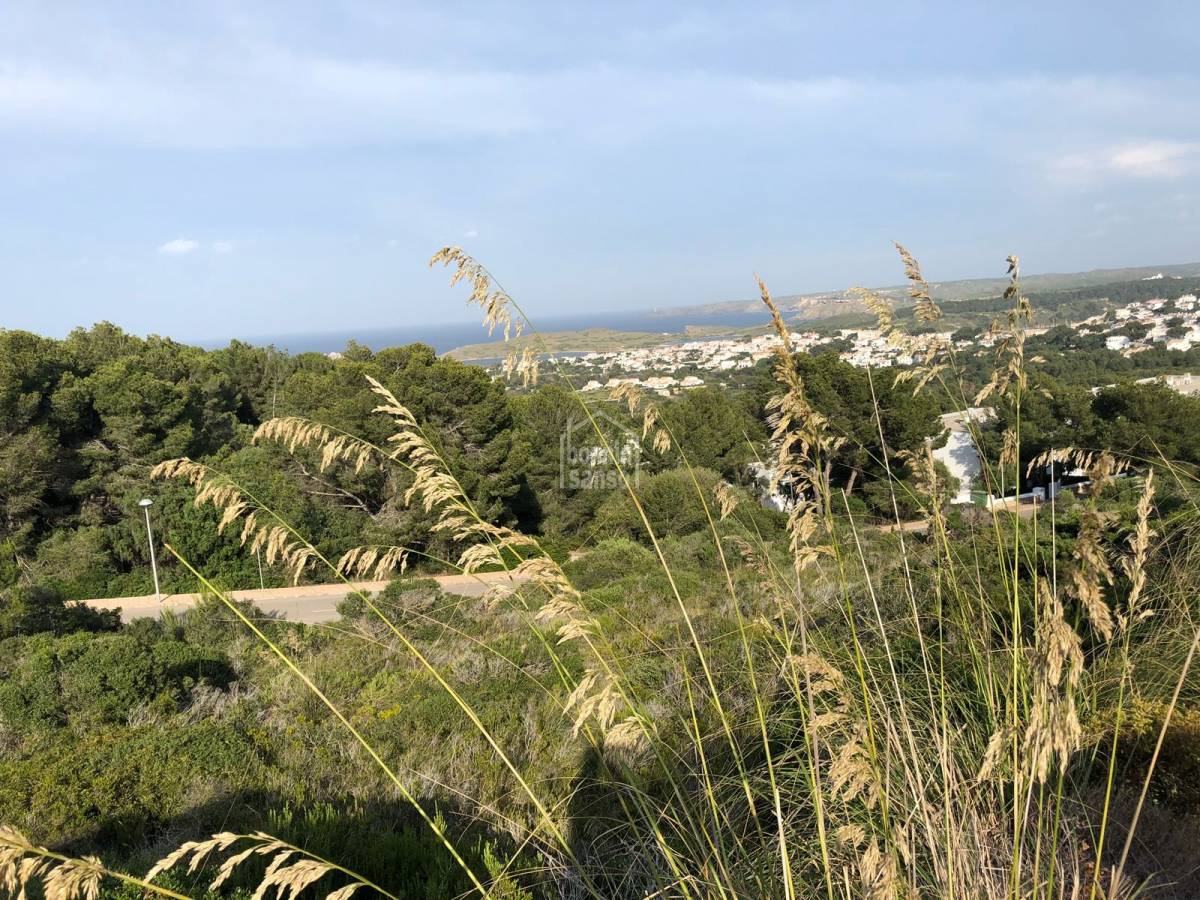 Land plot à Es Mercadal, Menorca, Espagne No. 47188
