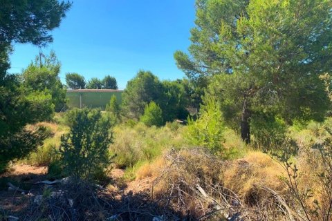 Land plot for sale in Finestrat, Alicante, Spain No. 42625 - photo 5
