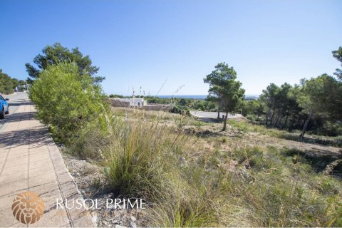 Land plot for sale in Es Mercadal, Menorca, Spain No. 47041 - photo 3
