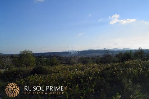 Land plot for sale in Sant Llorenc Des Cardassar, Mallorca, Spain 480 sq.m. No. 47145 - photo 5