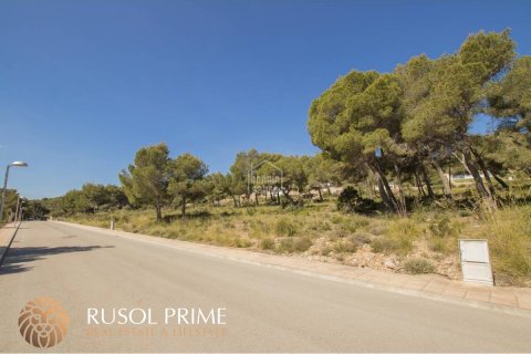 Land plot for sale in Es Mercadal, Menorca, Spain 2040 sq.m. No. 46906 - photo 6