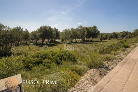 Land plot for sale in Es Mercadal, Menorca, Spain 2040 sq.m. No. 46905 - photo 6