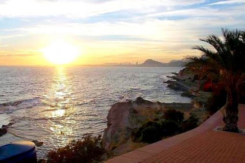 Villa for sale Alicante, Spain 8 bedrooms, 550 sq.m. No. 45029 - photo 9