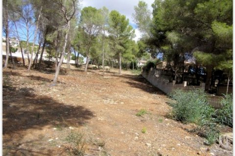 Land plot for sale in Moraira, Alicante, Spain No. 43537 - photo 3