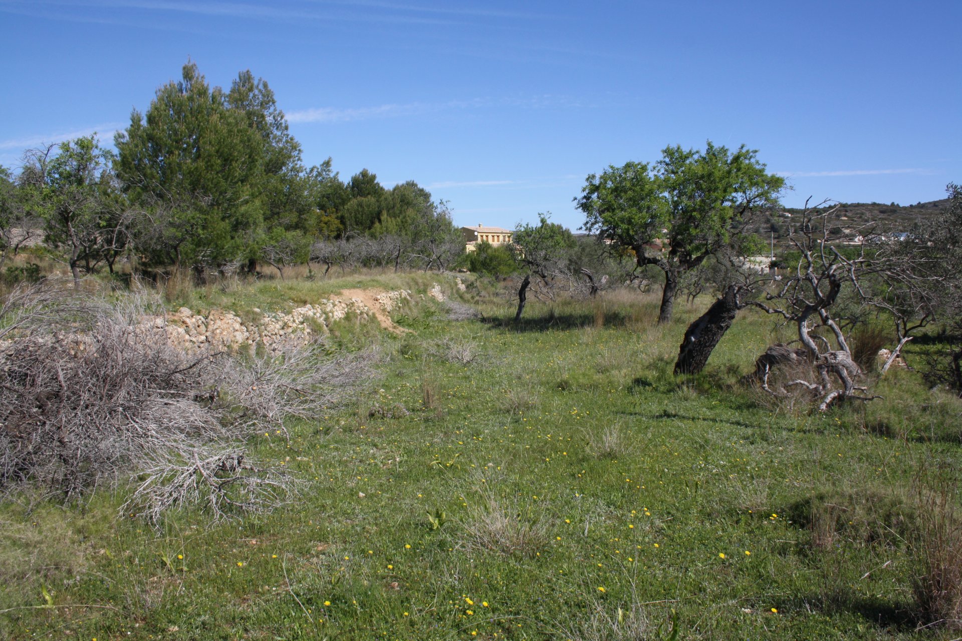 Villa in Benissa, Alicante, Spanien 5 Schlafzimmer, 272 m2 Nr. 24862