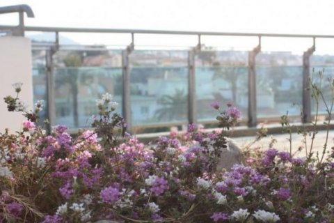 Hotel for sale Albir, Alicante, Spain 82 bedrooms, 7 sq.m. No. 42856 - photo 4