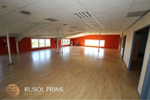 Commercial property for sale in Alaior, Menorca, Spain 800 sq.m. No. 46913 - photo 5