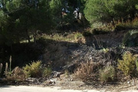 Land plot for sale Altea, Alicante, Spain No. 45512 - photo 7