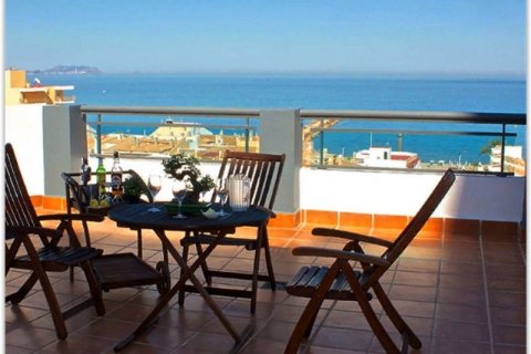 Hotel for sale in El Campello, Alicante, Spain 101 bedroom, 7.49 sq.m. No. 44625 - photo 2