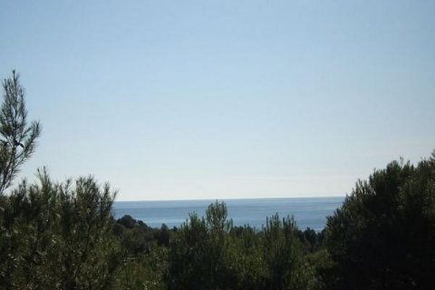 Land plot for sale Altea, Alicante, Spain No. 45512 - photo 1