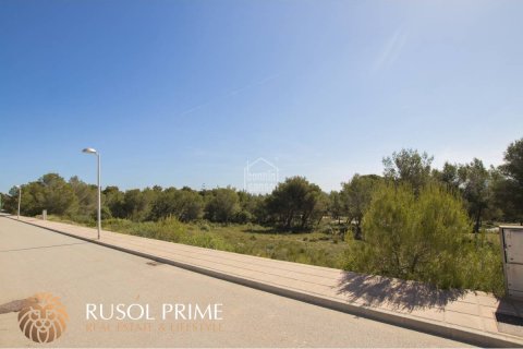 Land plot for sale in Es Mercadal, Menorca, Spain 2040 sq.m. No. 46905 - photo 7