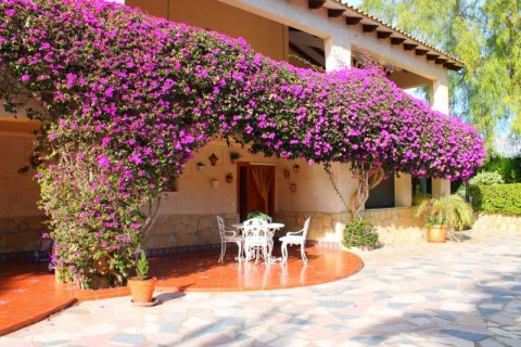 Villa for sale in Alfaz del Pi, Alicante, Spain 6 bedrooms, 600 sq.m. No. 43877 - photo 3