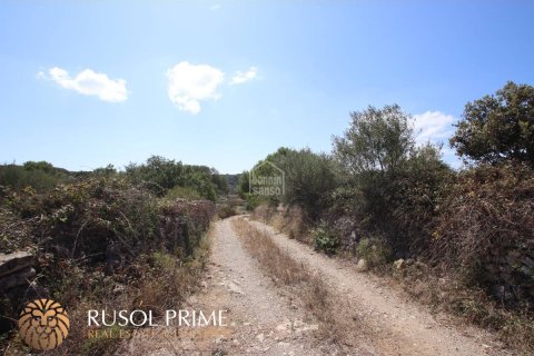 Land plot for sale in Alaior, Menorca, Spain 779 sq.m. No. 46956 - photo 12