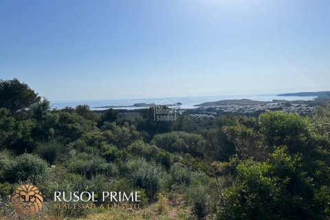 Land plot for sale Es Mercadal, Menorca, Spain No. 46907 - photo 1