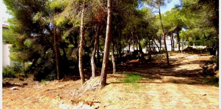 Land plot in Moraira, Alicante, Spain No. 43537