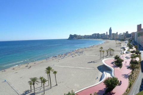 Apartment for sale in Benidorm, Alicante, Spain 1 bedroom, 60 sq.m. No. 45950 - photo 7