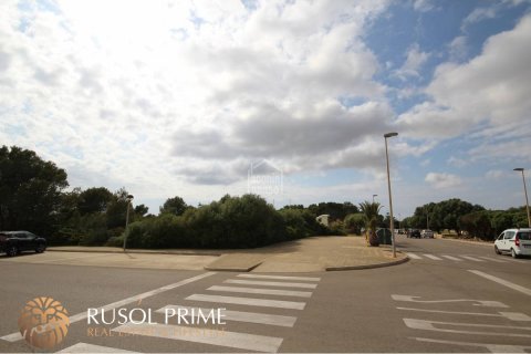 Land plot for sale in Ciutadella De Menorca, Menorca, Spain 2362 sq.m. No. 47097 - photo 4