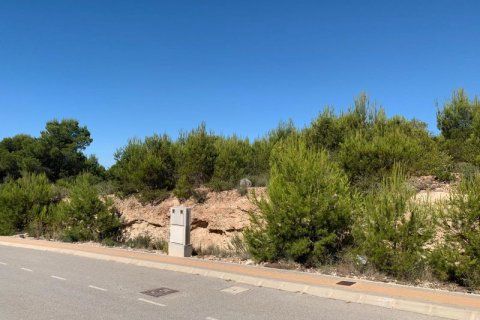 Land plot for sale in Finestrat, Alicante, Spain No. 42638 - photo 6