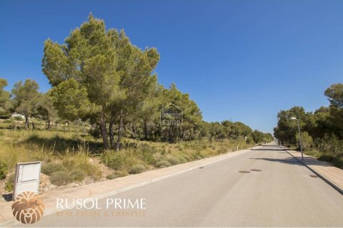 Land plot for sale in Es Mercadal, Menorca, Spain 2040 sq.m. No. 46906 - photo 5