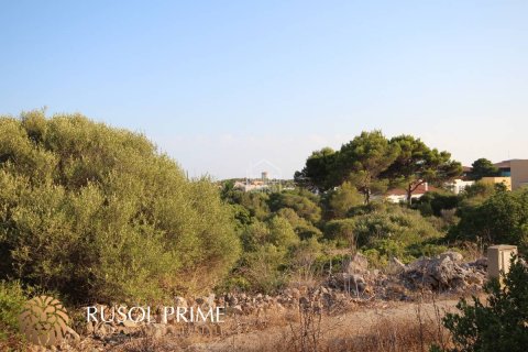 Land plot for sale in Sant Lluis, Menorca, Spain 1691 sq.m. No. 46985 - photo 1