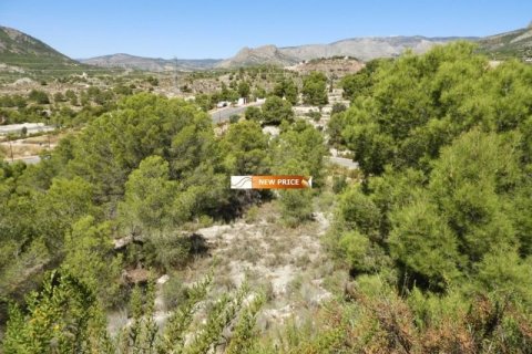 Land plot for sale in Finestrat, Alicante, Spain No. 45087 - photo 4