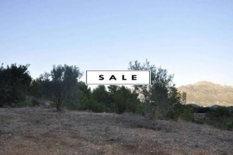 Land plot for sale in Polop, Alicante, Spain No. 45897 - photo 1