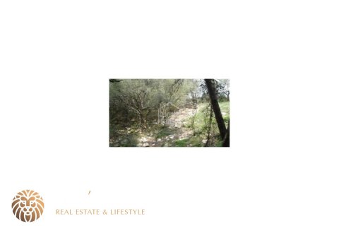 Land plot for sale Ferreries, Menorca, Spain 2375 sq.m. No. 46953 - photo 3