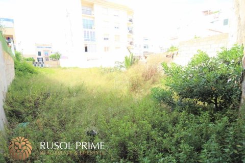 Land plot for sale in Ciutadella De Menorca, Menorca, Spain 669 sq.m. No. 47016 - photo 6