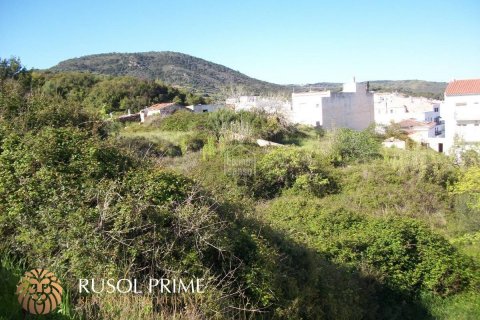 Land plot for sale in Ferreries, Menorca, Spain No. 46963 - photo 4