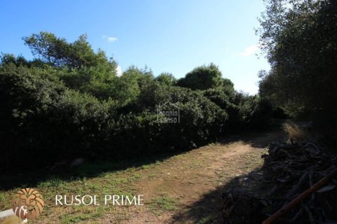 Land plot for sale in Ciutadella De Menorca, Menorca, Spain 1282 sq.m. No. 47098 - photo 2