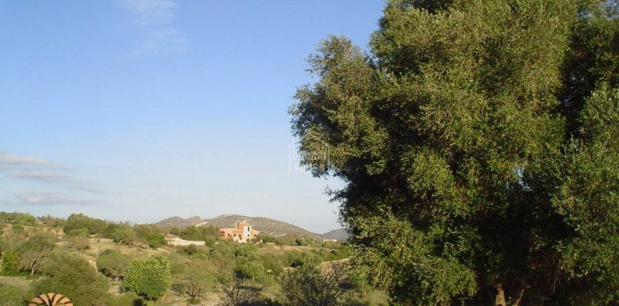 Land plot in Sant Llorenc Des Cardassar, Mallorca, Spain 480 sq.m. No. 47145