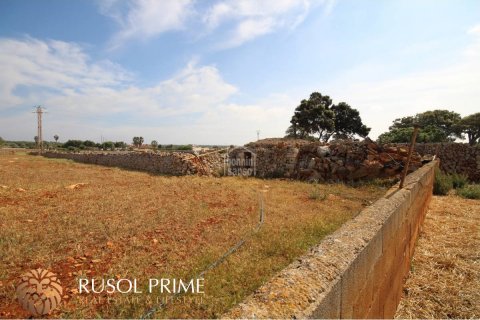 Land plot for sale in Ciutadella De Menorca, Menorca, Spain 32791 sq.m. No. 46881 - photo 8