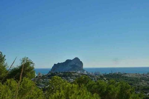 Villa for sale in Calpe, Alicante, Spain 5 bedrooms, 592 sq.m. No. 46051 - photo 5