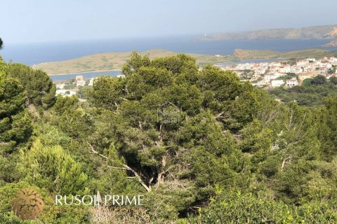 Land plot for sale in Es Mercadal, Menorca, Spain 670 sq.m. No. 46952 - photo 7