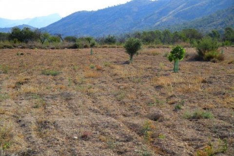 Land plot for sale Villajoyosa, Alicante, Spain No. 42607 - photo 10