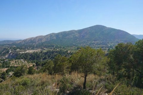 Land plot for sale in Finestrat, Alicante, Spain No. 42604 - photo 9